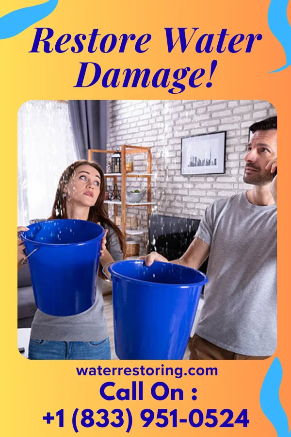 water restoration First Water Mitigation Masters Alamo